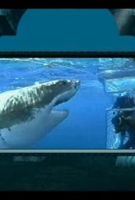 Primary photo for Undersea Adventure