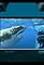 Undersea Adventure's primary photo