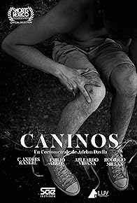 Primary photo for Caninos