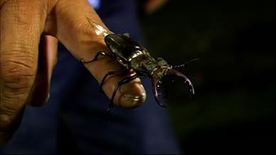 पोस्टर देखें