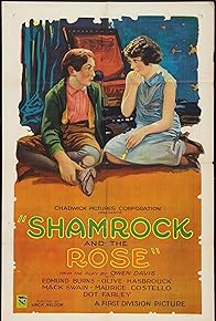 Primary photo for The Shamrock and the Rose Primary photo for The Shamrock and the Rose