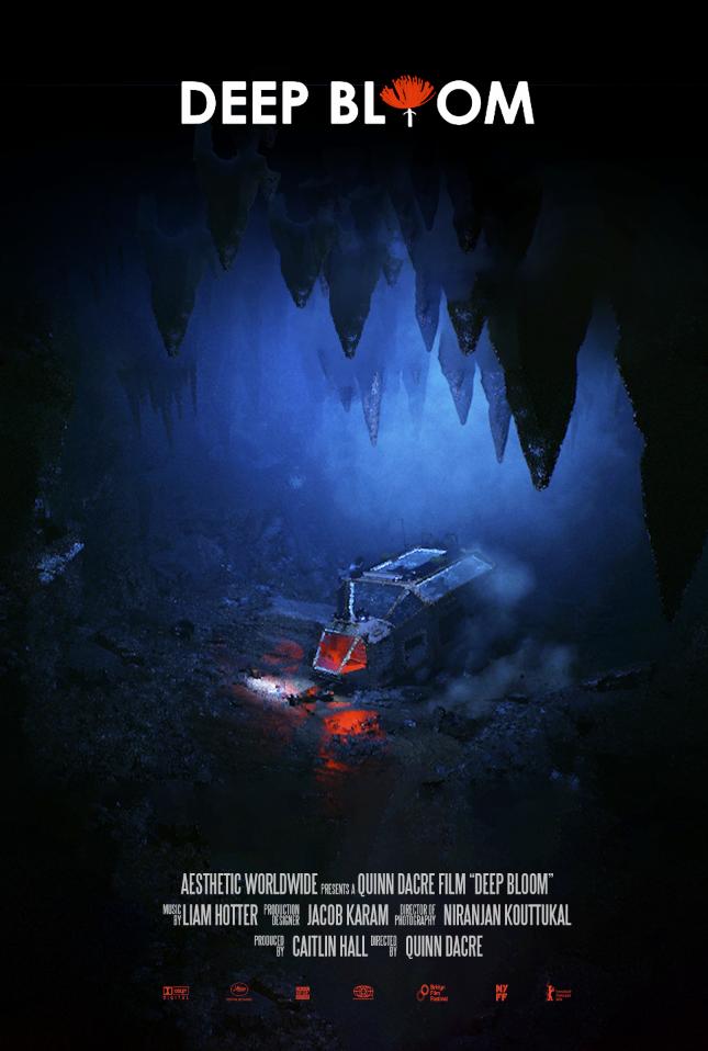 Deep Bloom