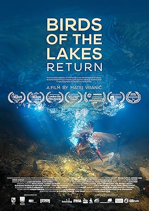 Birds of the Lakes Return Poster