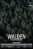 Primary photo for Walden Primary photo for Walden