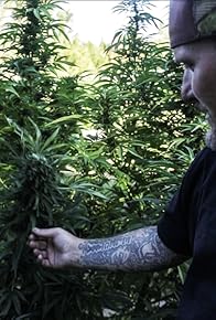 Primary photo for Marijuana Paradise