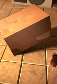 Primary photo for The Box