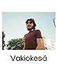 Vakiokesä's primary photo
