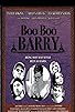 Primary photo for Boo Boo Barry