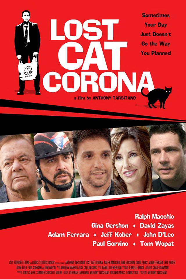 Poster of Lost Cat Corona