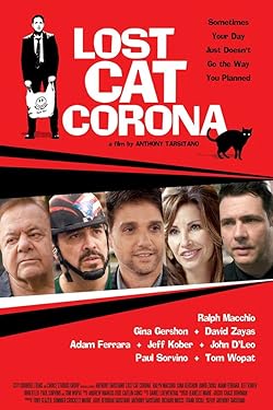 Poster of Lost Cat Corona