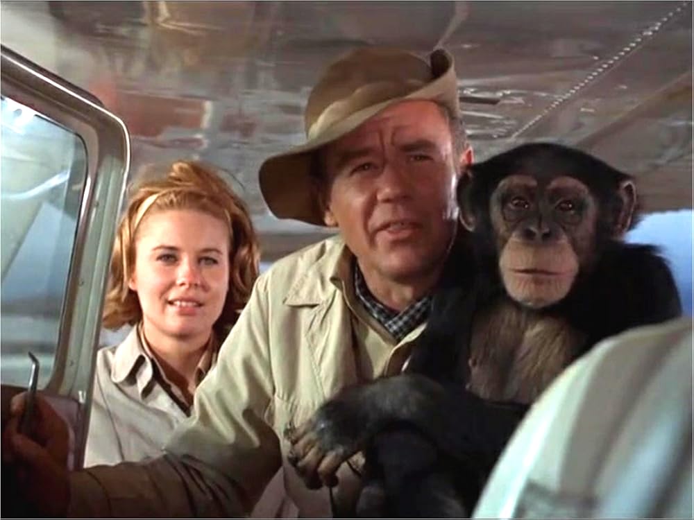 Daktari (1966)