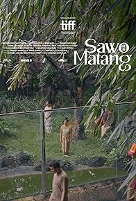 Primary photo for Sawo Matang