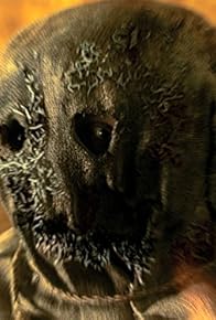 Primary photo for Batman Vs. Scarecrow