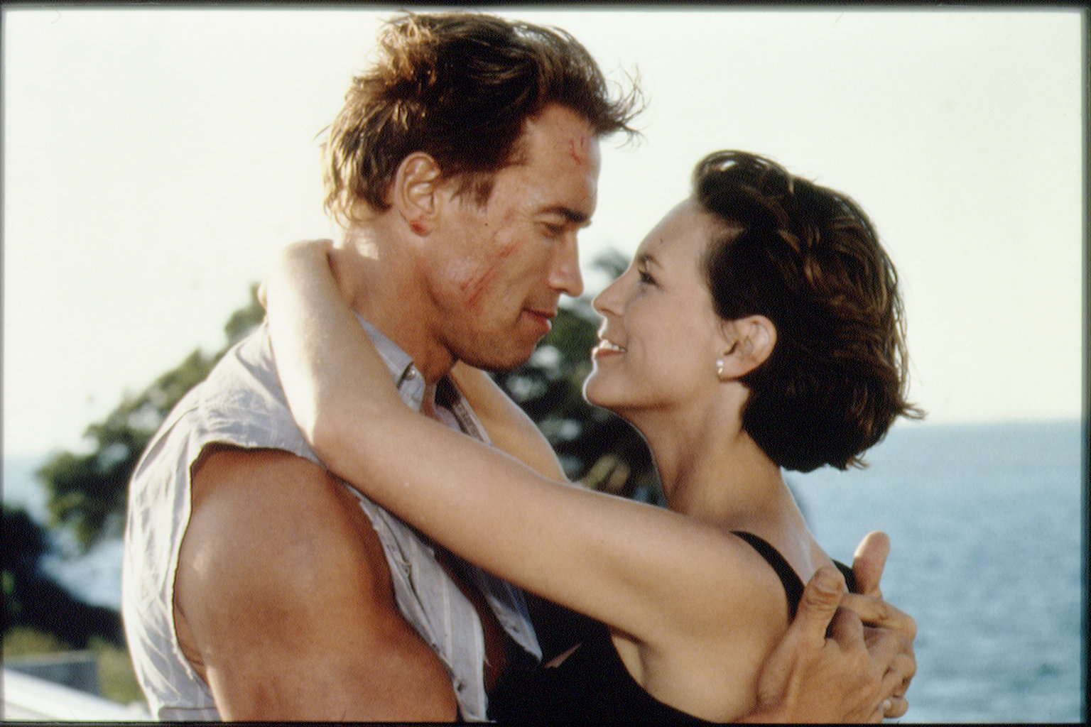 True Lies (1994) - IMDb