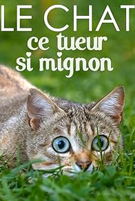 Primary photo for The Cat, a Cuddly Killer