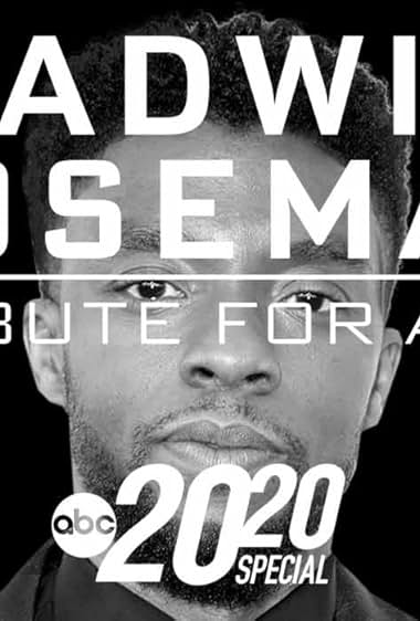Chadwick Boseman: A Tribute for a King movie poster - watch and download free