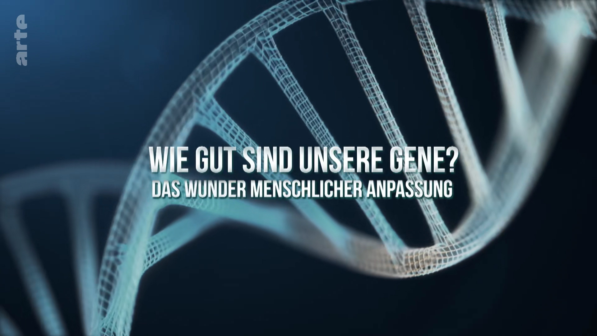 Wie gut sind unsere Gene? Das Wunder menschlicher Anpassung