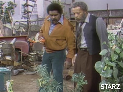 Whitman Mayo