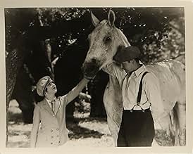 पोस्टर देखें