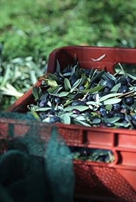 Primary photo for Olive Harvest