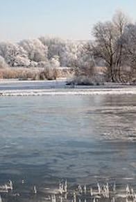 Primary photo for Die Müllsammler von nebenan