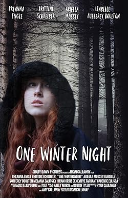 Poster of One Winter Night