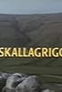 Primary photo for Skallagrigg