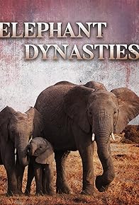 Primary photo for Elephant Dynasties