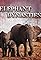 Elephant Dynasties's primary photo