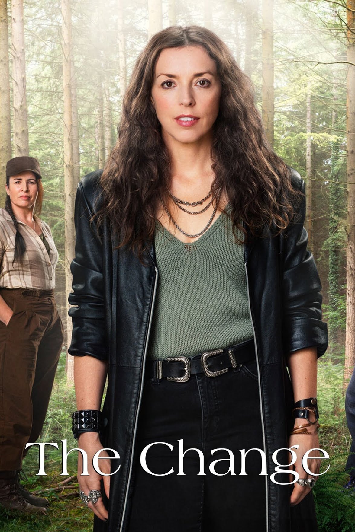 Poster of The Change