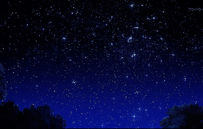 Poster of The Circle(2017)