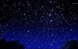 Poster of The Circle(2017)