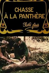 Primary photo for Hunting the Panther
