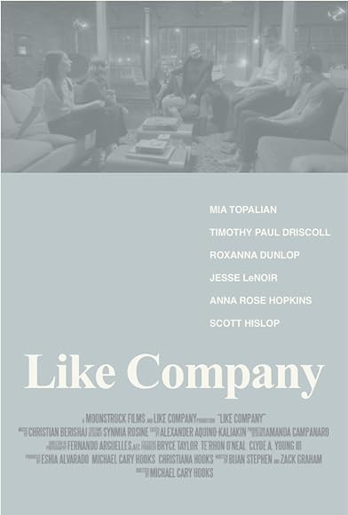 Primary photo for Like Company Primary photo for Like Company