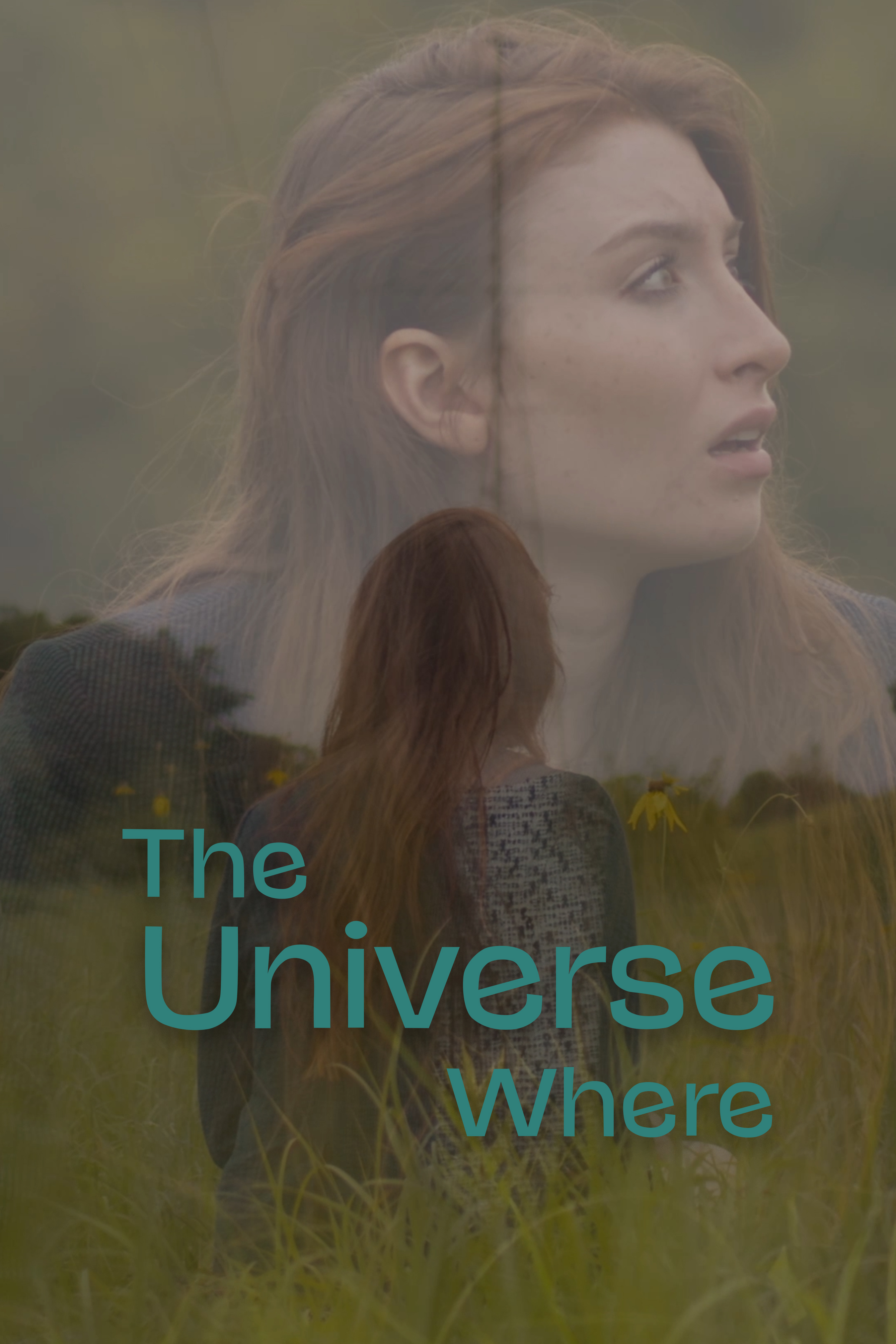 Poster of The Universe Where