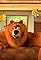 Cartoon Bear's primary photo
