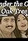 Under the Old Oak Tree's primary photo