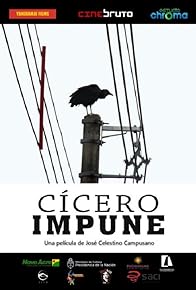 Primary photo for Cícero impune