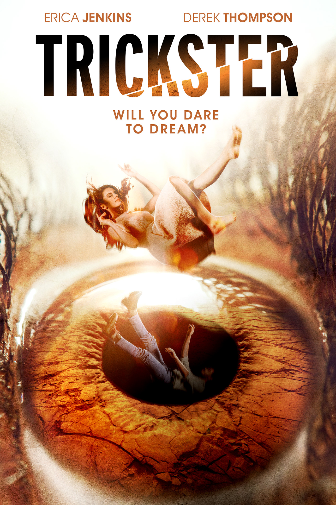 Poster of Trickster