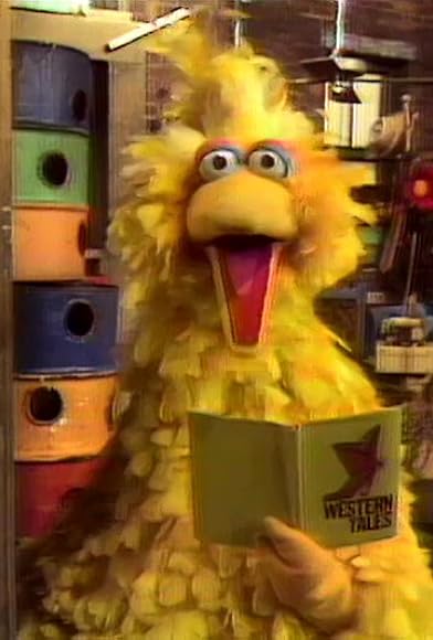 Primary photo for Big Bird 100 earlier Primary photo for Big Bird 100 earlier