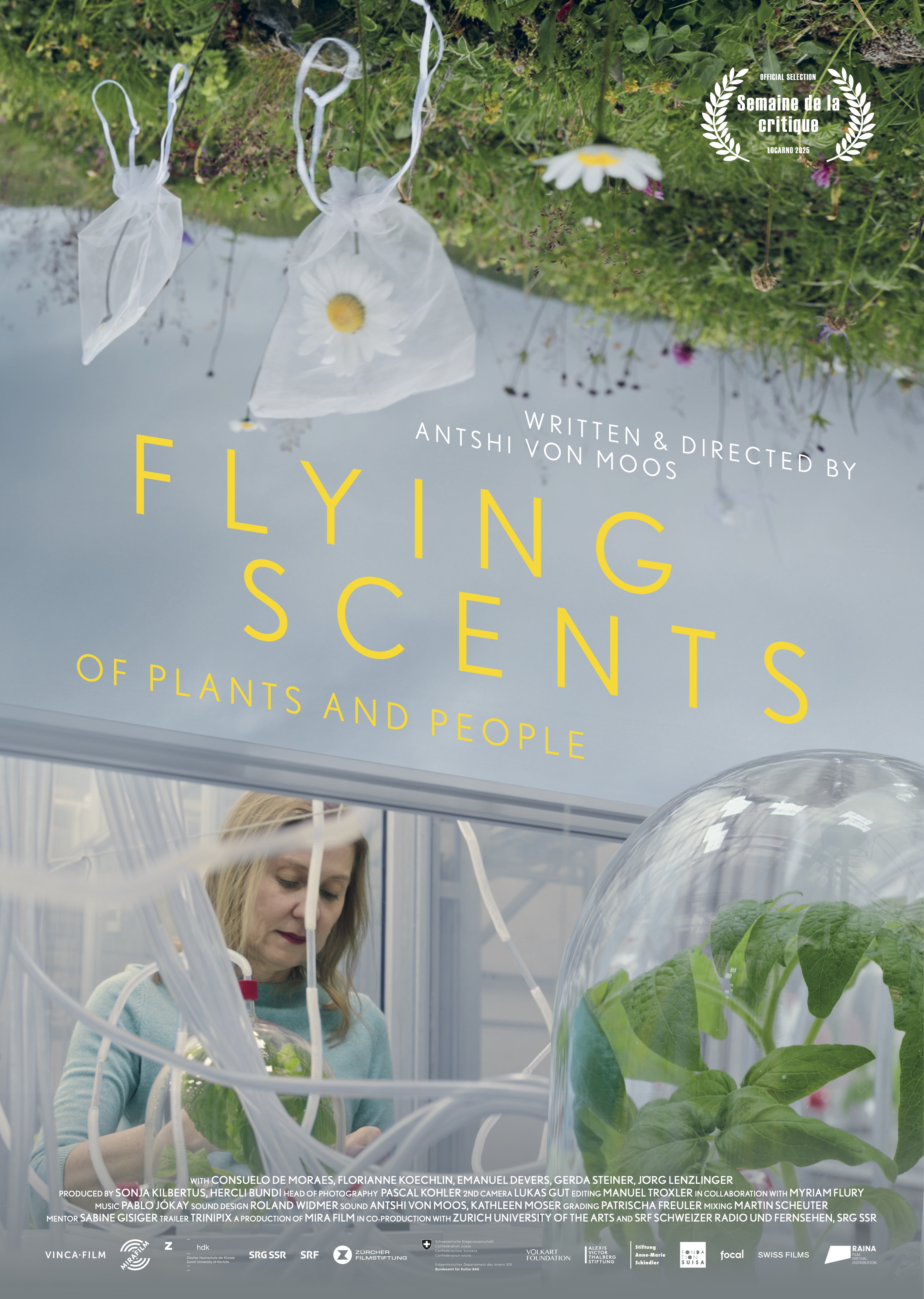 Flying Scents - of plants and people