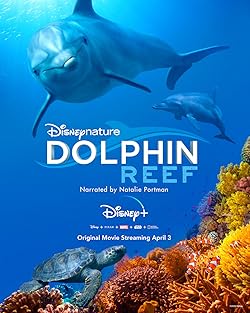 Poster of Dolphin Reef