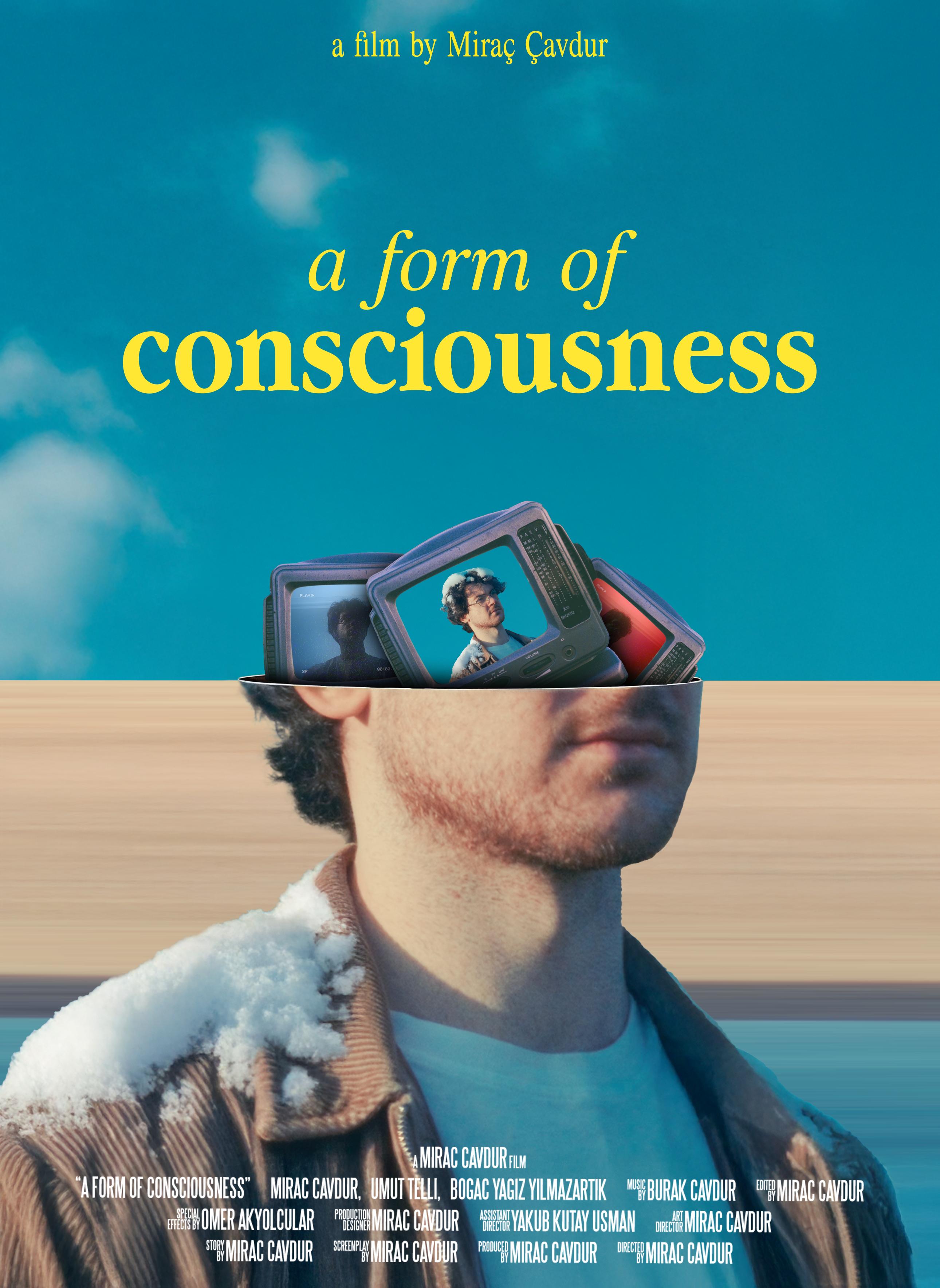 A Form of Consciousness
