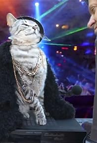 Primary photo for Peace Out