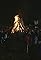 Fireworks's primary photo