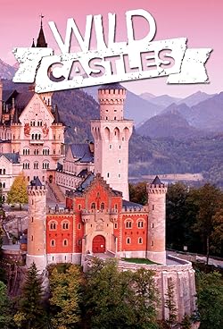 Poster of Wild Castles