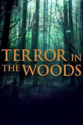 Poster of Terror In The Woods