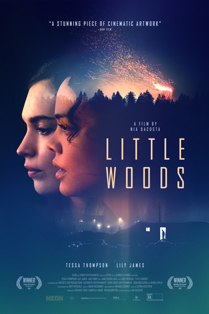 Poster of Little Woods