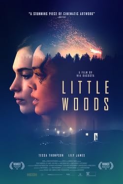 Poster of Little Woods