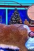 Primary photo for Christmas Special 2019 Primary photo for Christmas Special 2019